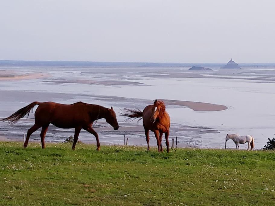 Holiday home Maison Vue Sur Le Mont Saint Michel Et Sa Baie Champeaux